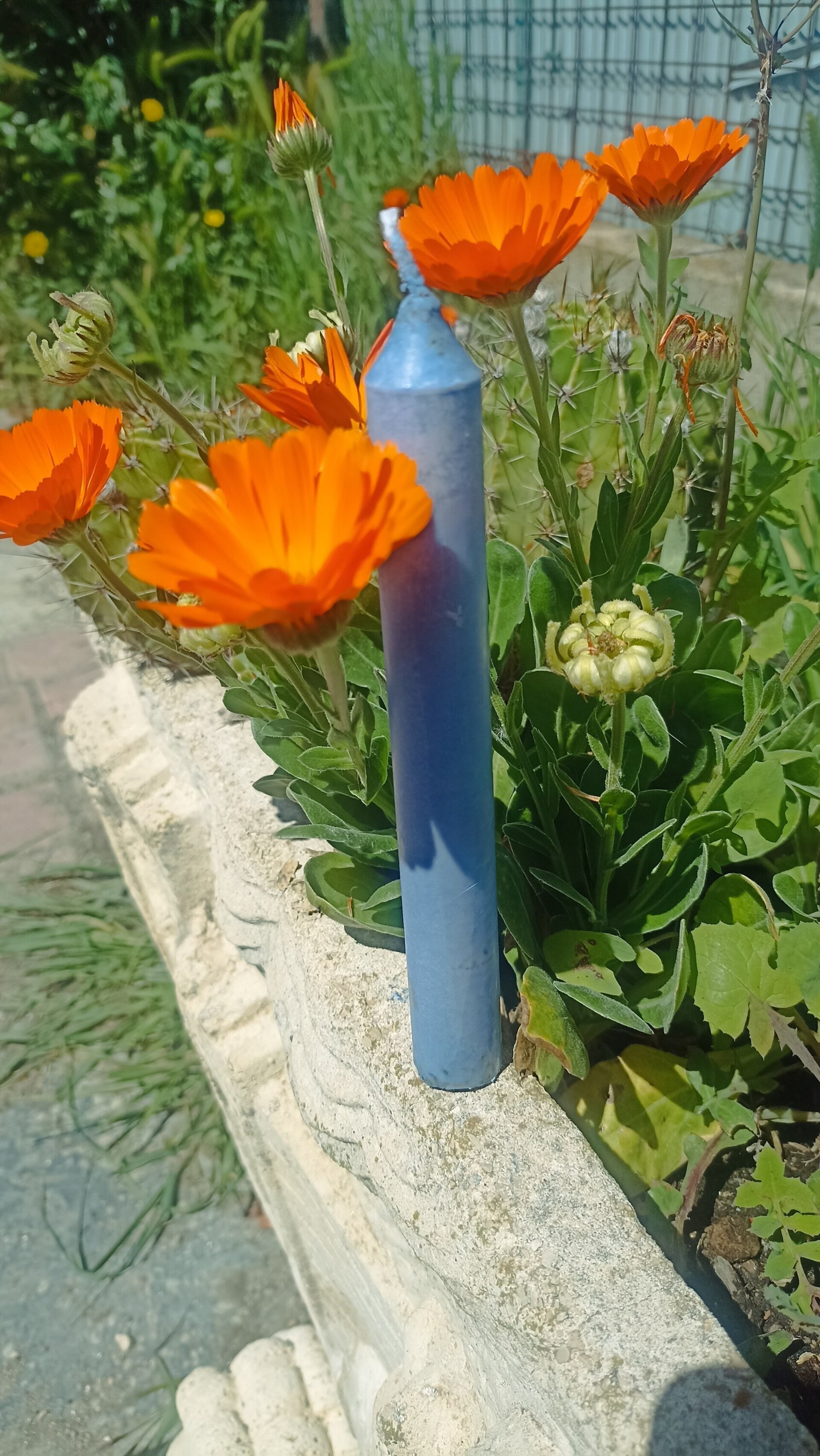 Vela forma cirio - 1